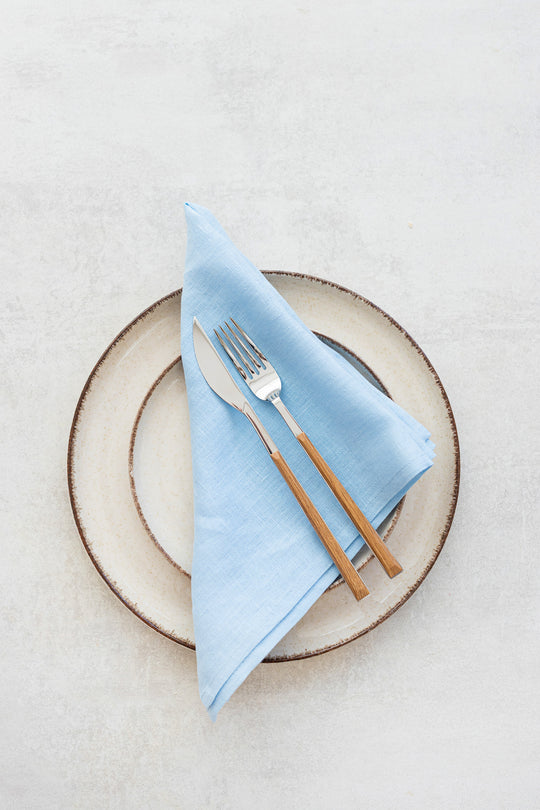 Sky Blue Color Linen Napkin Set Of 2 - Daily Linen